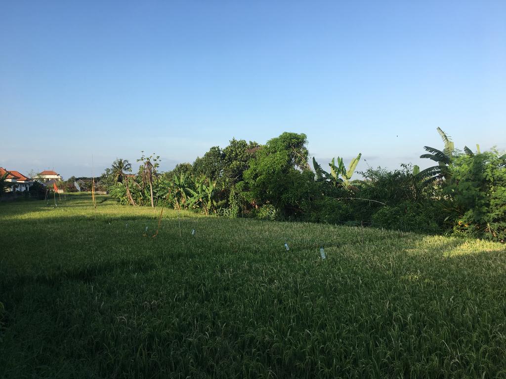 Gangga Guest House Canggu  Exterior photo